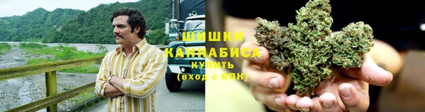 хмурый Абаза