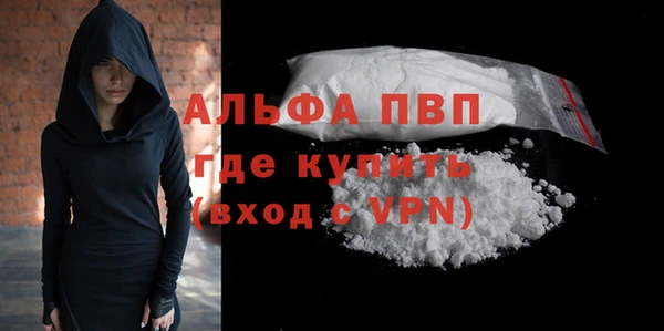 хмурый Абаза
