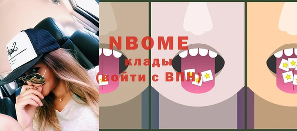 хмурый Абаза