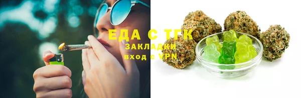 хмурый Абаза